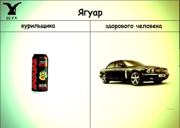 Ягуар курильщика