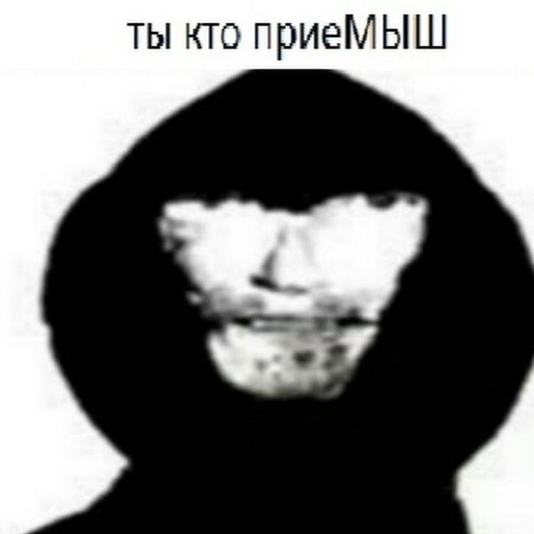 Фоторобот албанца выгу выгу