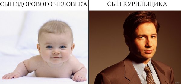 Сын курильщика секретные материалы