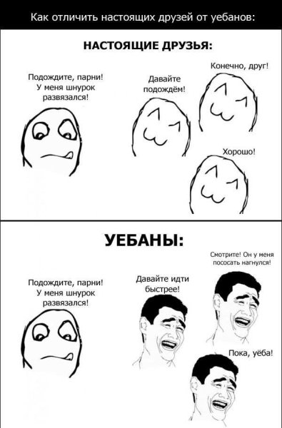 Настоящий друг Мем