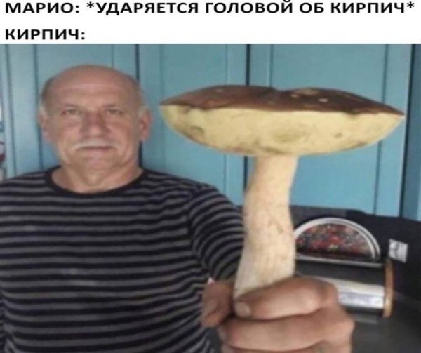 Дед с грибом Мем