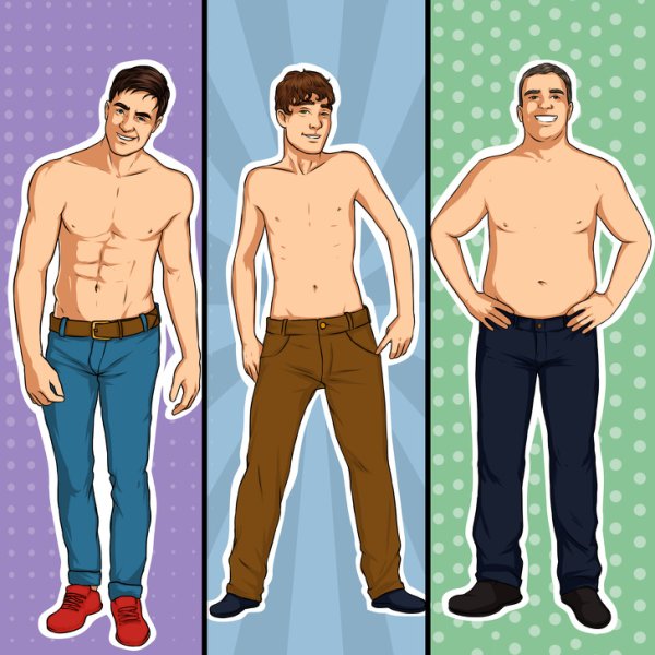 Типы мужской внешности