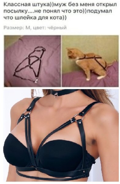 Портупея шлейка для кота