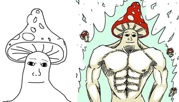 Человек гриб голова гриб