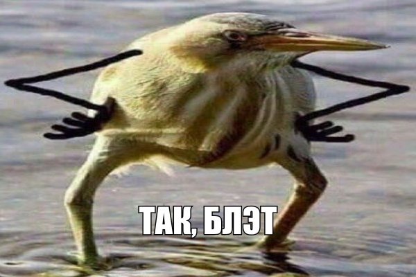 Так блэт