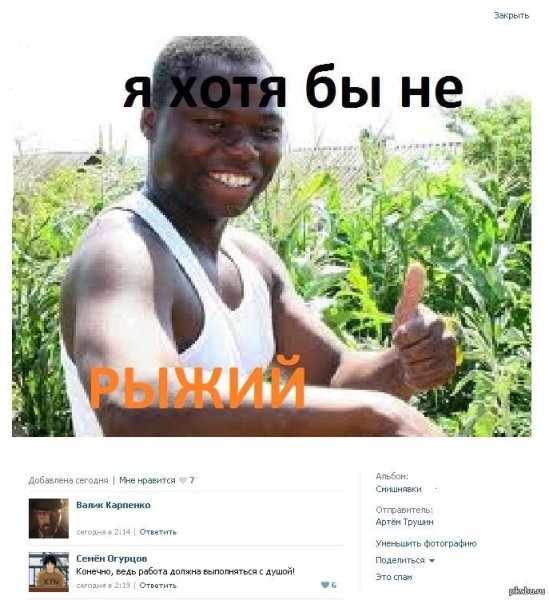 Мемы про рыжих