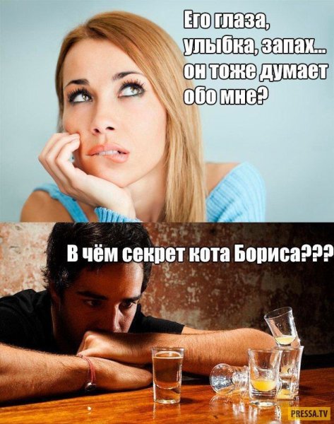 Мемы с надписями