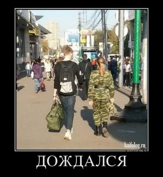 Дождались юмор