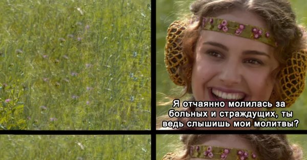 Мем Звездные войны Энакин и Падме