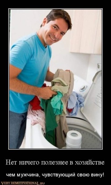 Хозяйственный муж