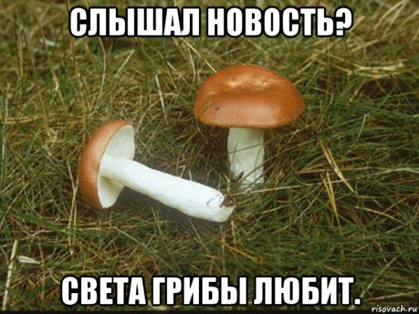 Гриб ебанушка