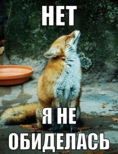 Лиса демотиватор