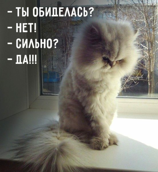 Обиделась нет сильно да