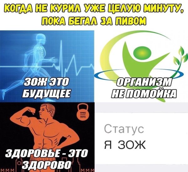 Мемы про здоровый образ жизни