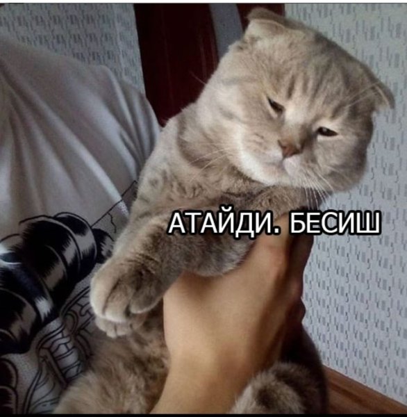 Обиделся да