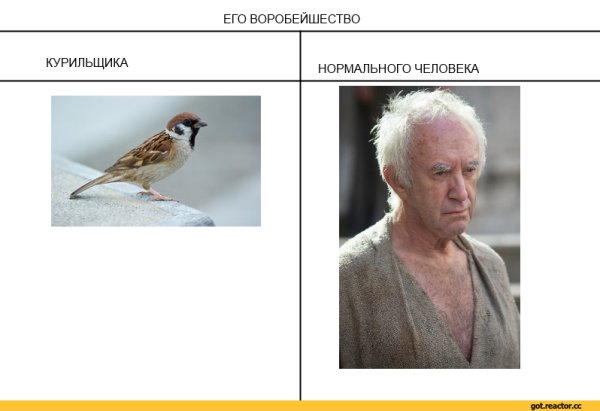 Его Воробейшество игра престолов