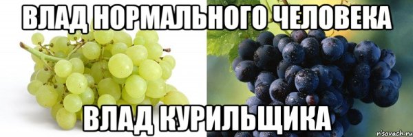 Мемы про виноград