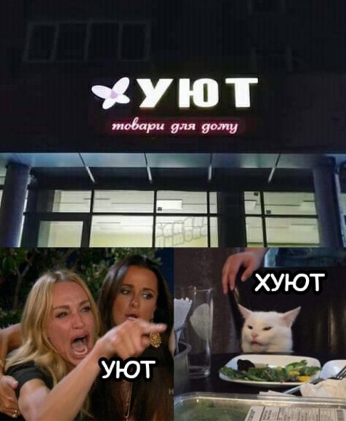 Кот с девушками