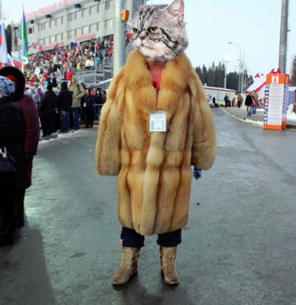 Смешная женщина в шубе