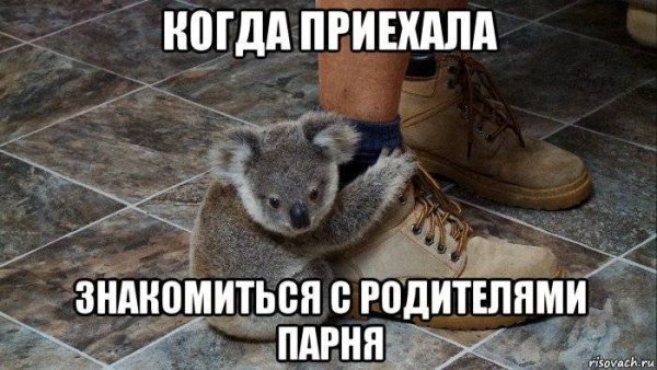 Когда пришел знакомиться с родителями