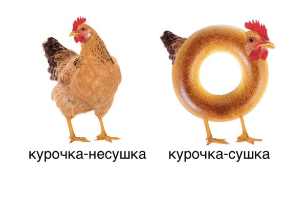 Курочка Несушка Курочка сушка Мем