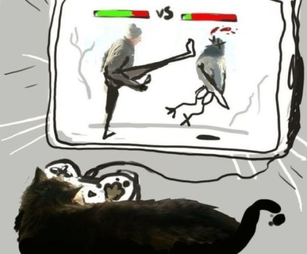 Голубь фашист