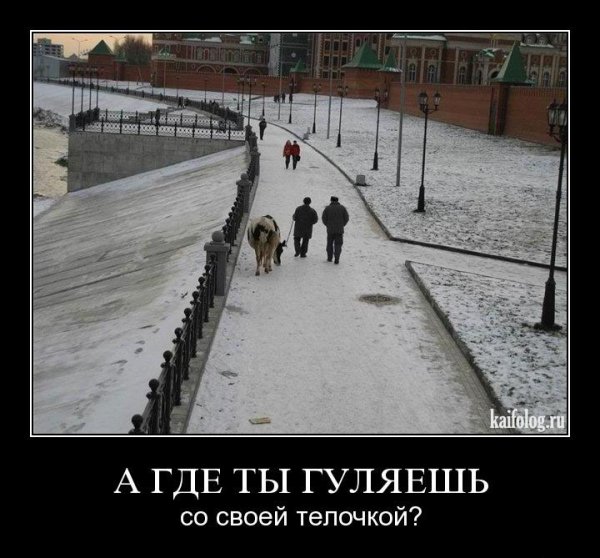 Шутки про гулять