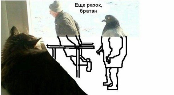 Мужик и голубь