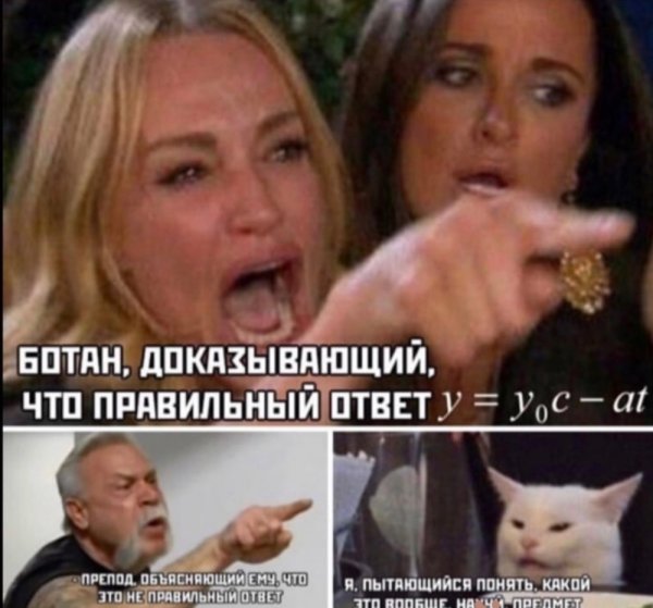 Мемы с котом и девушками