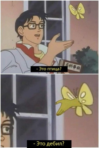 Оригинал мема с бабочкой