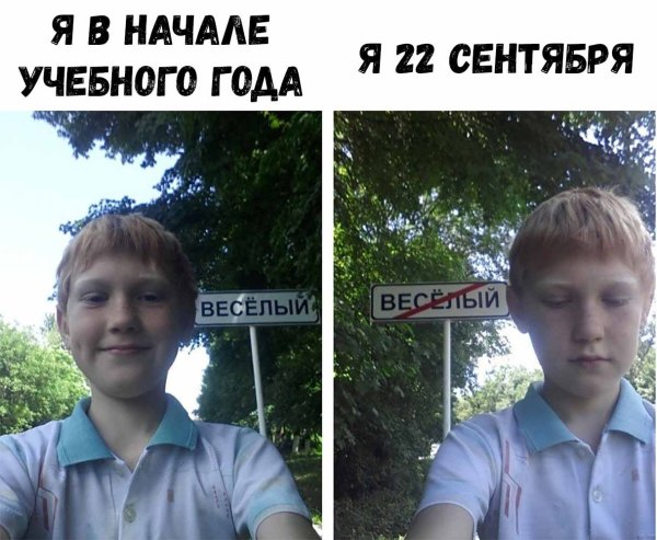 Веселая жизнь Мем с мальчиком
