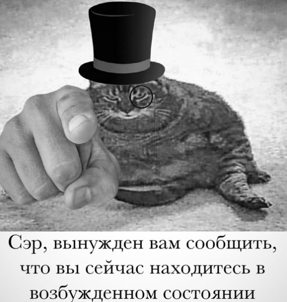 Культурный Мем