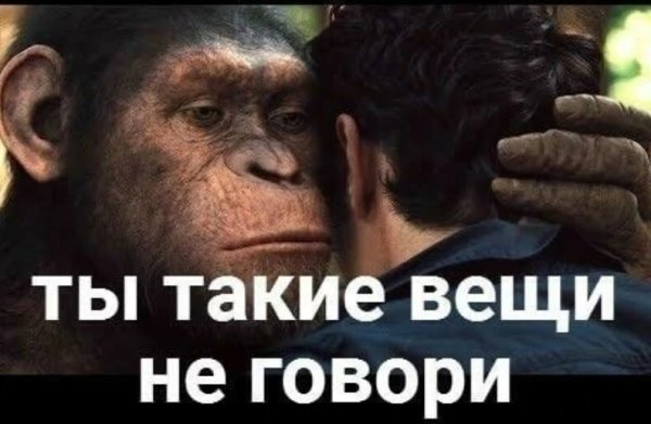 Мем "Планета обезьян, восстание планеты обезьян