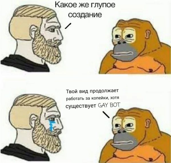 Ты такое тупое животное Мем