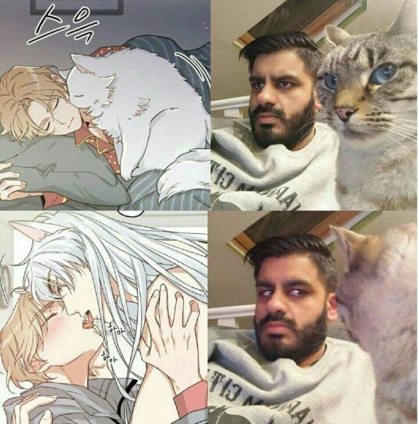 Человек превращается в кота арт