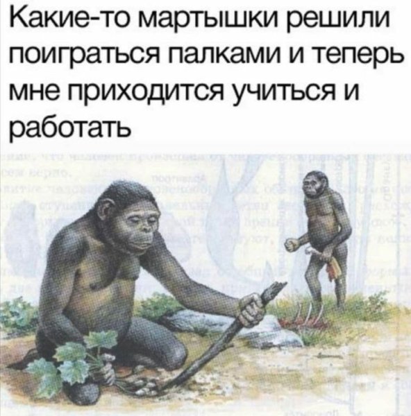 Обезьяна с палкой