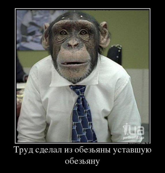 Обезьяна демотиватор