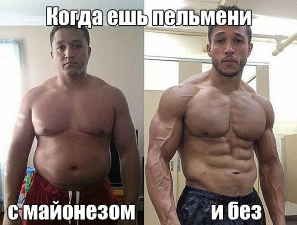 Мезоморфы до и после