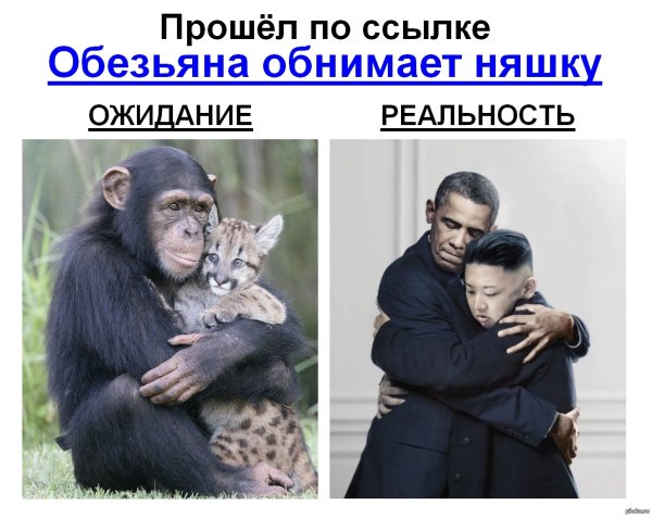 Барак Обама Мем обезьяна