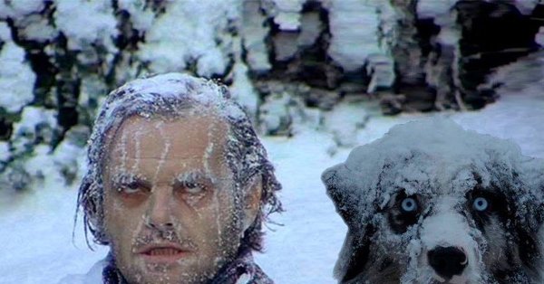 Джек Николсон сияние замерз