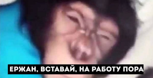 Ержан вставай обезьяна