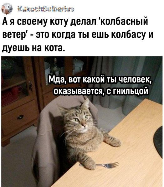 Вот такой ты человек с гнильцой Мем