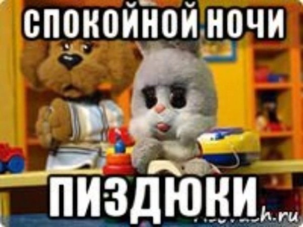 Мемы спокойной ночи смешные