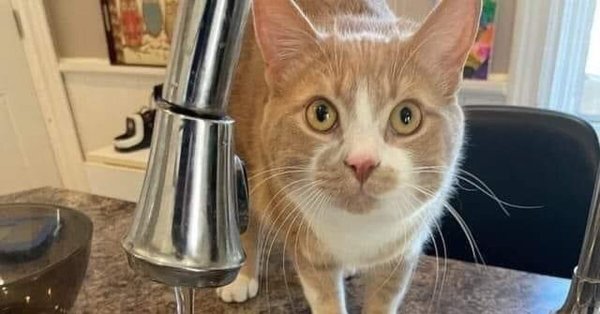 Вот такой ты человек Наташа