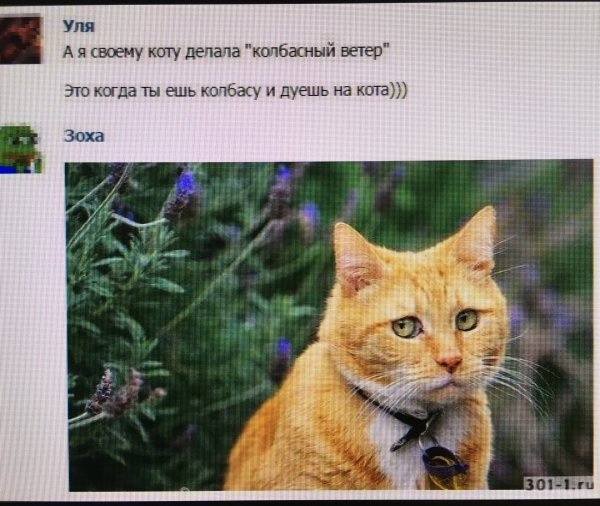 Вот такой ты человек с гнильцой