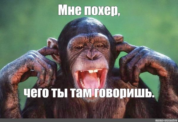 Обезьянки с надписью