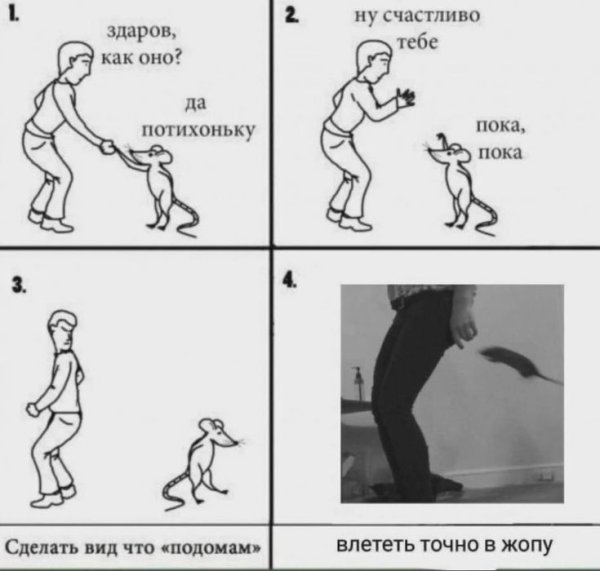 Влететь точно в крысу