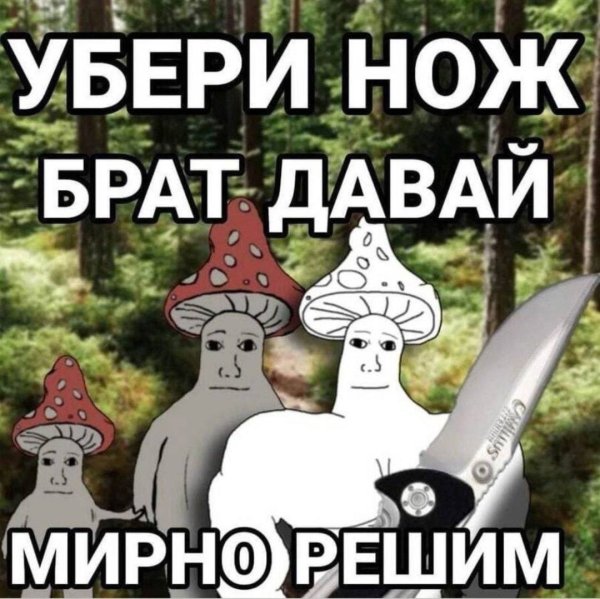 Мемы про грибы