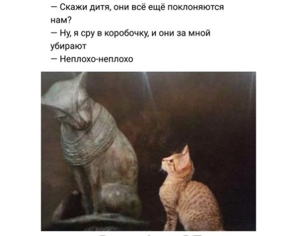 Скажи они все ещё поклоняются нам