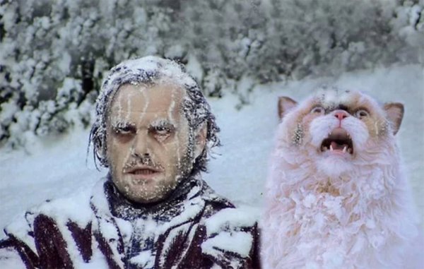 Джек Николсон сияние